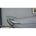 Spoiler Cap Maxton Design Aston Martin V8 Vantage