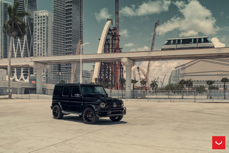 Vossen